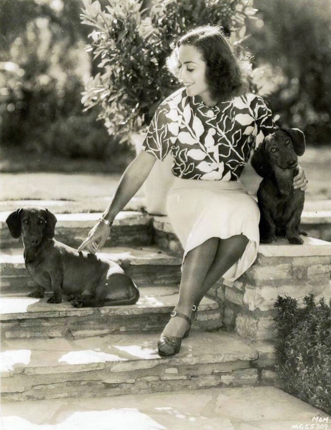 1936. At home with pups.