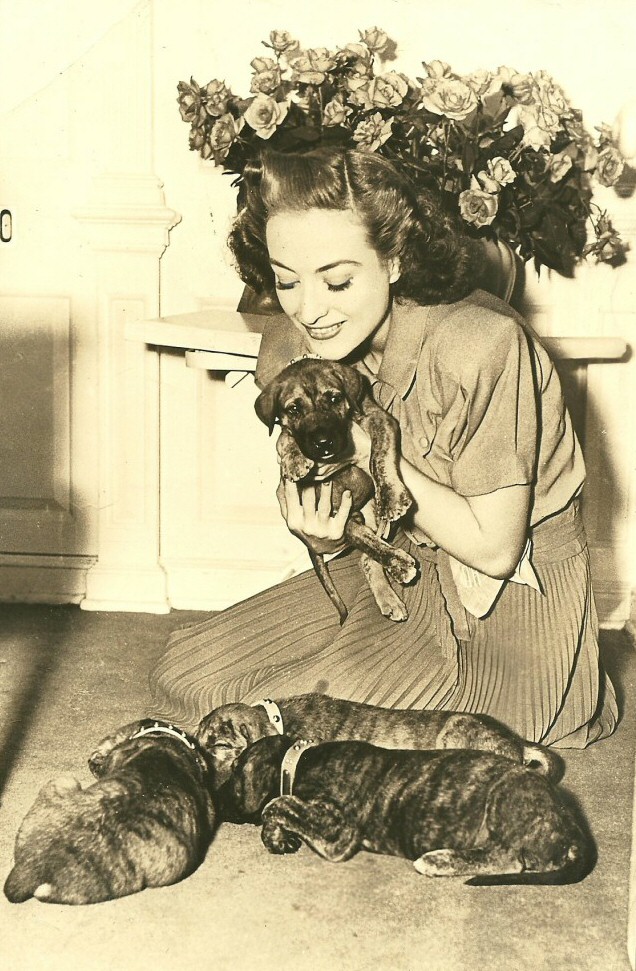 1937. On the set of 'The Bride Wore Red' with Great Dane pups.