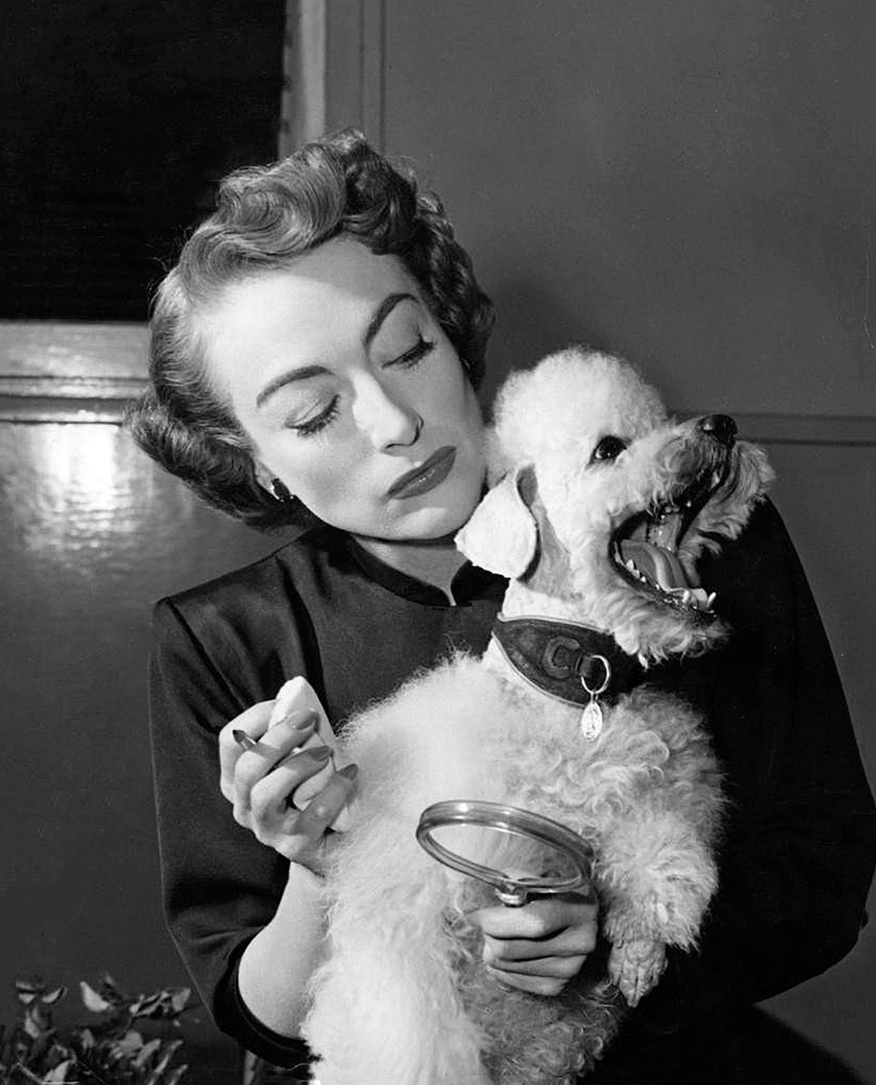 1950. On the set of 'The Damned Don't Cry' with Cliquot.