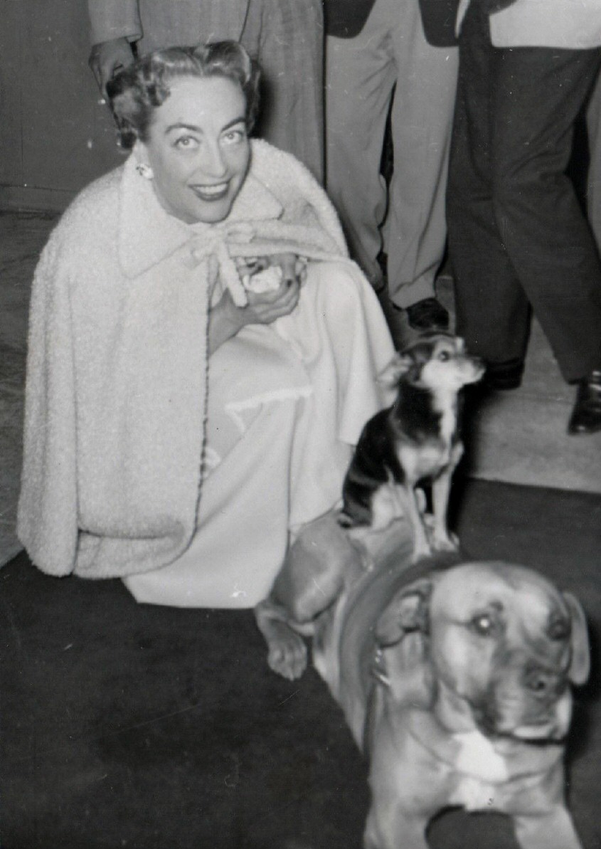 1952. A candid at Mocambo shot by Wayne Ellinger.