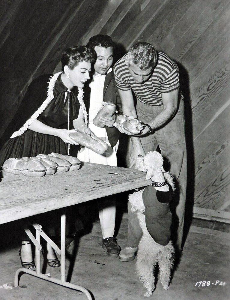 1955. On the set of 'Female' with Jeff Chandler, his stand-in, and Cliquot.