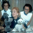 1959. On the set of 'Best of Everything' with twins and pups.