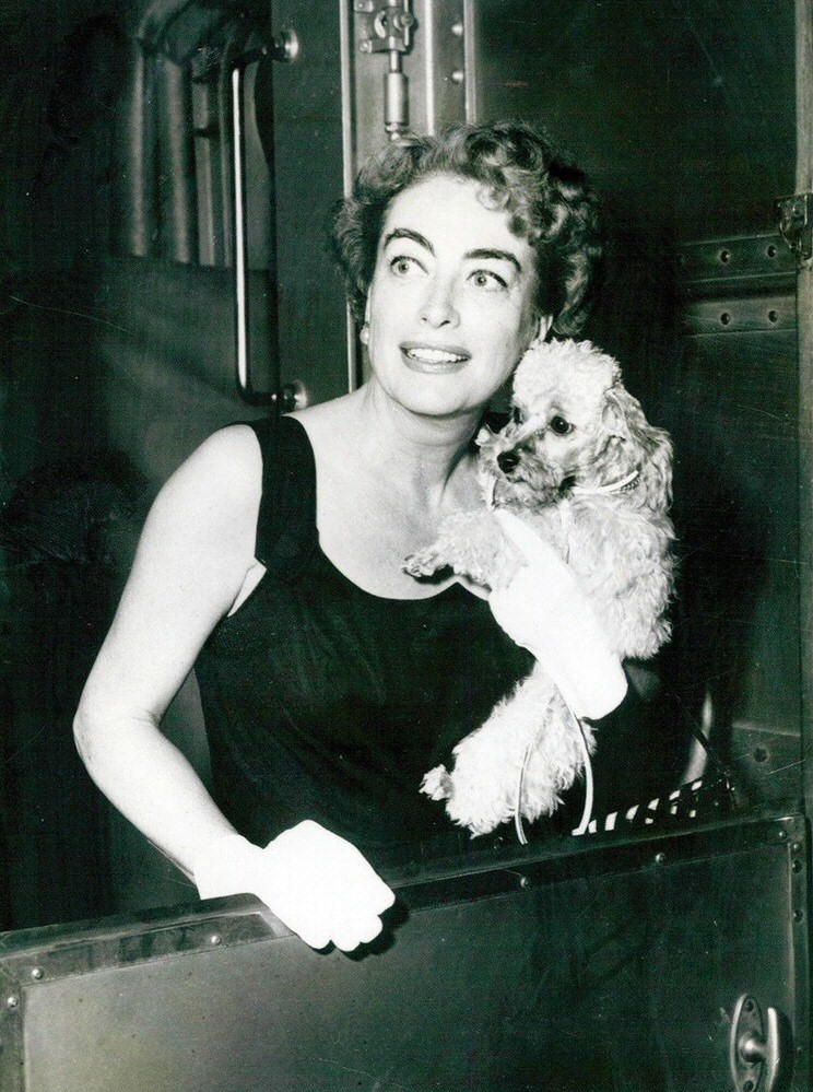 1957 candid on train with poodle.