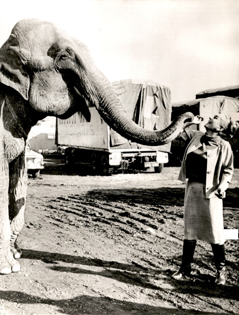 On the set of 'Berserk' with Burma the Elephant.