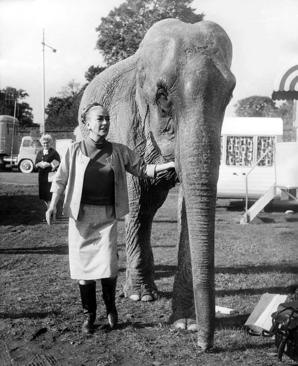 1968. On the set of 'Berserk.'