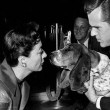 1955 with Jackie Cooper and dog Cleo in Hollywood. (Includes press slug.)