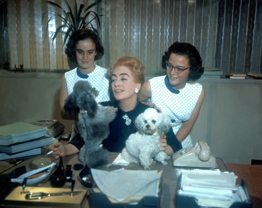 1959. On the set of 'The Best of Everything' with twins and pups.