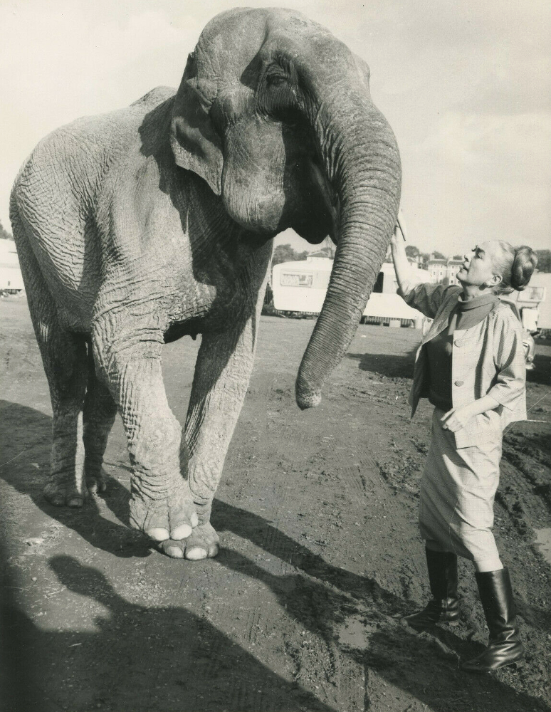 On the set of 'Berserk' with Burma the Elephant.