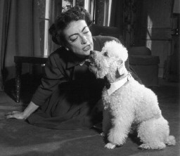 With unknown poodle in 1953.